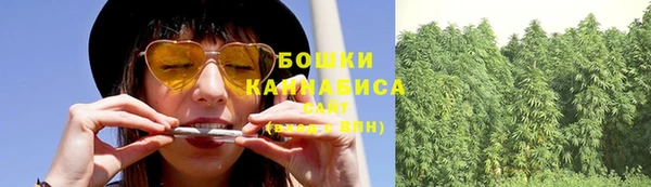 прущие грибы Медвежьегорск
