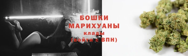 прущие грибы Медвежьегорск