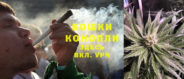 стаф Магадан