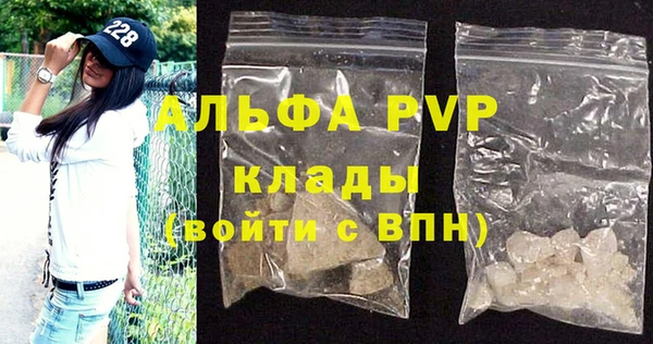 прущие грибы Медвежьегорск