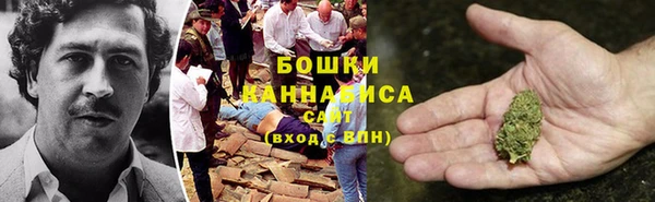 стаф Магадан