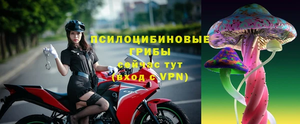 стаф Магадан