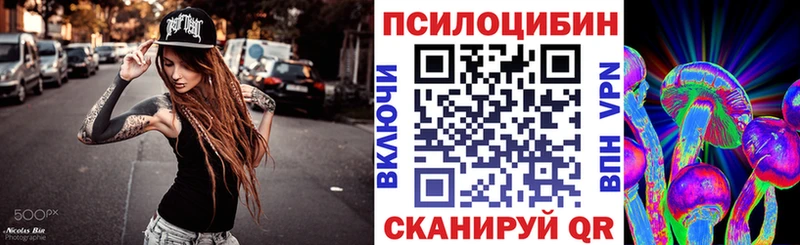 гидра зеркало Пучеж Псилоцибиновые грибы GOLDEN TEACHER